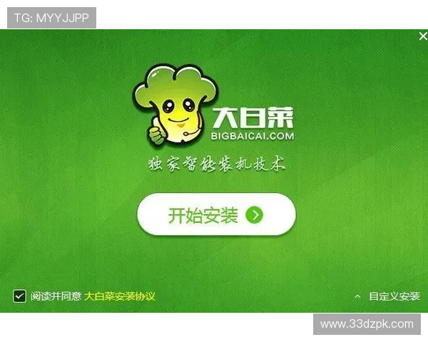 探索白菜网站：获取优质资源的最佳平台